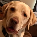 Barb Lakes - @lakesbarb - Instagram