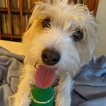 Barb Lakes Barnes - @babizon1 - Instagram