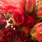 Barb Lambert - @barblambert22 - Instagram