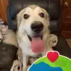 Barb Lambert - @barb.lambert8 - TikTok