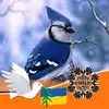 barblamprey - @barblamprey - TikTok