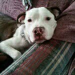 Barb Lane - @michiganmommy82 - Instagram
