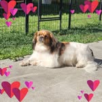 Barb Lane - @swtdlite23 - Instagram