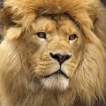 barb langley - @barb8429jz - Instagram