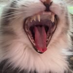 Barb Larsen - @barbieh57 - Instagram