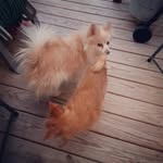 Barb Law - @barbie.jo.law - Instagram