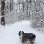 Barb Law Rauh - @barblawrauh - Instagram