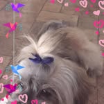 Barb Lawson - @barblaw02 - Instagram