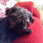 Barb Lawrence - @barb.lawrence.526 - Instagram