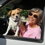 Barb Laws - @barbvanderpool - Instagram