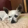 Barbara Layman - @blayman - TikTok