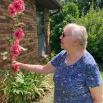 Barb Clayton - @barbara.k.clayton.9 - Instagram