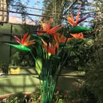 Barb Layton - Facebook