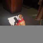 Barb Leach - @barbleach - Instagram