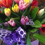 Barb Huston Leduc - @leducbarb - Instagram