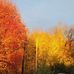 Barbara Leduc - Facebook