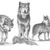Barb Lee - Facebook