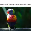 Barb Lee - @barb.lee33 - TikTok