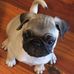 Barbara Lemons - Facebook