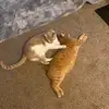 Barb De Leon - @barb.de.leon - TikTok