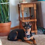 Barb Leonard - @bleonard55433 - Instagram
