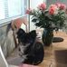 Barb Leslie - Facebook