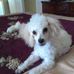 Barbara Linder - Facebook