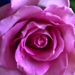 Barb Lindstrom - Facebook