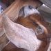 Barb Linton - Facebook
