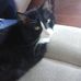 Barbara Linton - Facebook