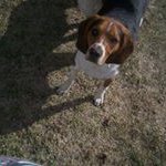 Barb Lloyd - @barblloyd4823 - Instagram
