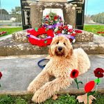 Barb Lloyd - @living_my_best_life_1968 - Instagram