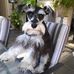 Barbara Lloyd - Facebook