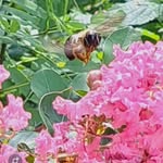 Barb Long - @barb5088 - Instagram