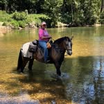 Barb Long - @gaited61 - Instagram