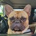 Barb Loomis - Facebook