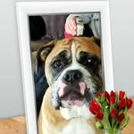 Barb Loomis - @barb.loomis.9 - Instagram