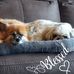 Barb Lorenz - Facebook