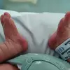 Barbara Bertilotti - @barbara.bertilott - TikTok
