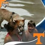 Barb Lowe - @trevtrev2005 - Instagram