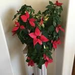 Barb Lowe Kuhn - Facebook