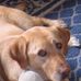 Barb Ludwig - Facebook