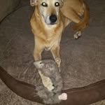 Barb Ludwig-Bly - @ludwigbly - Instagram