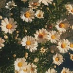 Barb Ludwig Leece - @barbludwigleece - Instagram