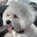 Barb Lundberg - @barb85622 - Instagram