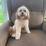 Barb Newby Lutz - @barblutz6 - Instagram