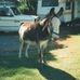 Barbara Maas - Facebook