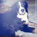 Barbara Maas - Facebook