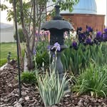 Barb MacDonald - @barb.macdonald.59 - Instagram