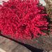 Barb MacDonald - Facebook